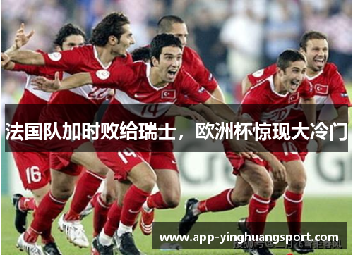 法国队加时败给瑞士，欧洲杯惊现大冷门